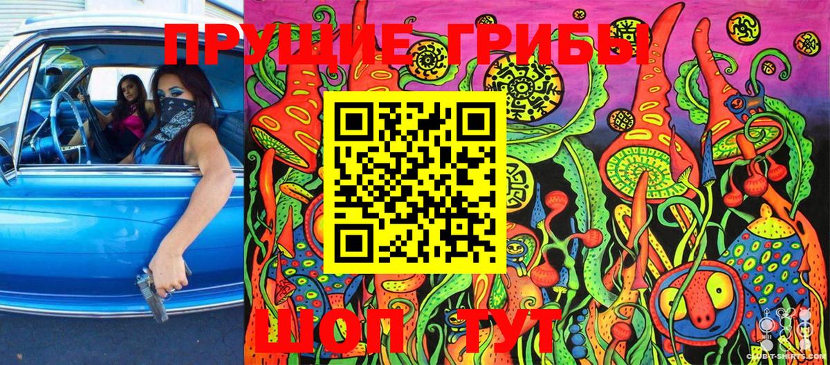 Псилоцибиновые грибы MAGIC MUSHROOMS Зима