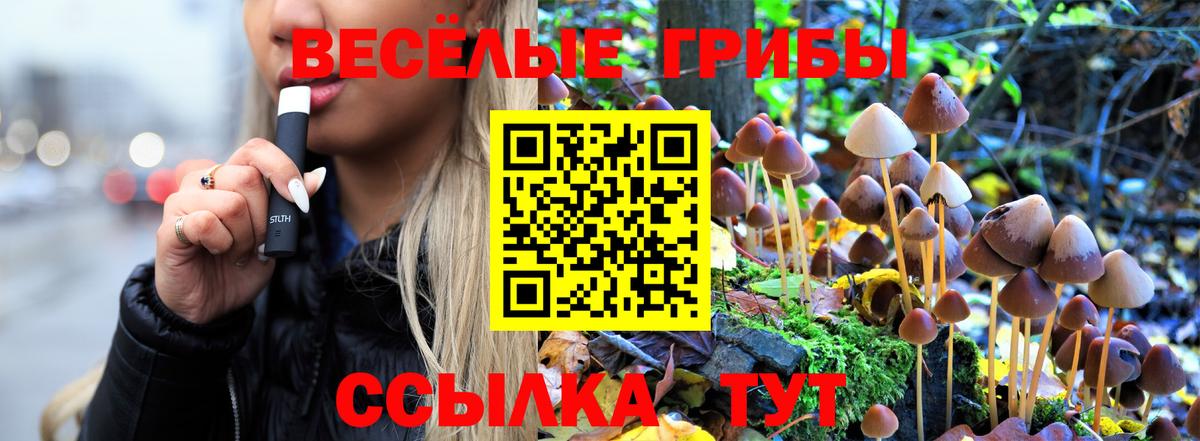 Зима  Галлюциногенные грибы ЛСД  Вход с VPN 